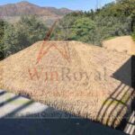 WinRoyal Synthetic Thatch Reed